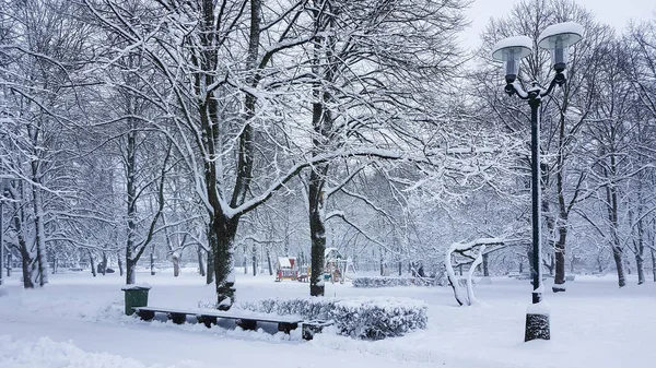 Winterschnee Fällt Auf Einen Friedlichen Park Und Schafft Eine Schöne — Stockfoto