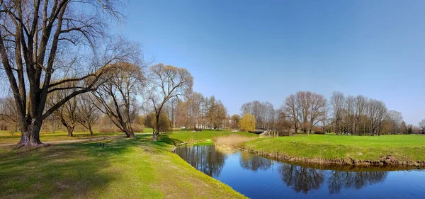 Malerische Frühlingslandschaft Mit Kleinem Teich Mit Vögeln Ufer Umgeben Von — Stockfoto