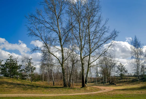 Panorama Jesiennego Krajobrazu Piękną Łąką Nad Jeziorem Kisezers Rydze Łotwa — Zdjęcie stockowe