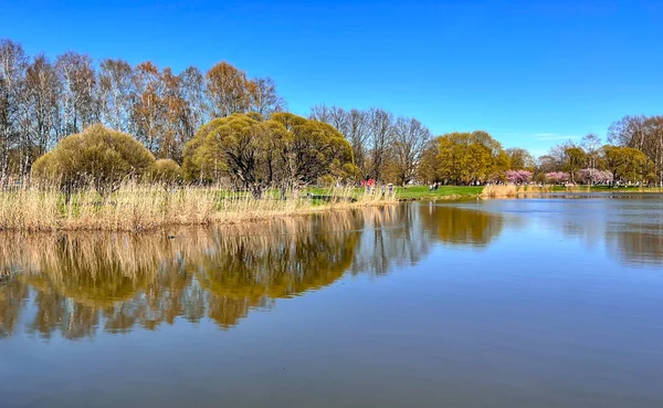 Lettland Riga Mai 2022 Sonnige Frühlingslandschaft Mit Kleinem Teich Und — Stockfoto