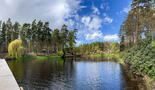 Soligt Vårlandskap Med Liten Damm Omgiven Vacker Skog Babite Rigaregionen — Stockfoto