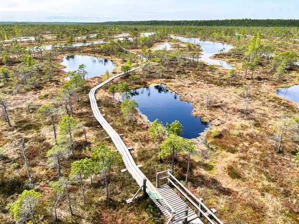 Εθνικό Πάρκο Kemeri Λετονία Βόρεια Ευρώπη Ειρηνική Φύση Του Kemeri — Φωτογραφία Αρχείου