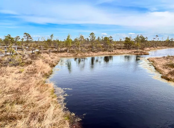 Kemeris Nationalpark Lettland Nordeuropa Kemeris Fridfulla Natur Stora Träsk Med — Stockfoto
