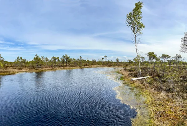 Εθνικό Πάρκο Kemeri Λετονία Βόρεια Ευρώπη Ειρηνική Φύση Του Kemeri — Φωτογραφία Αρχείου
