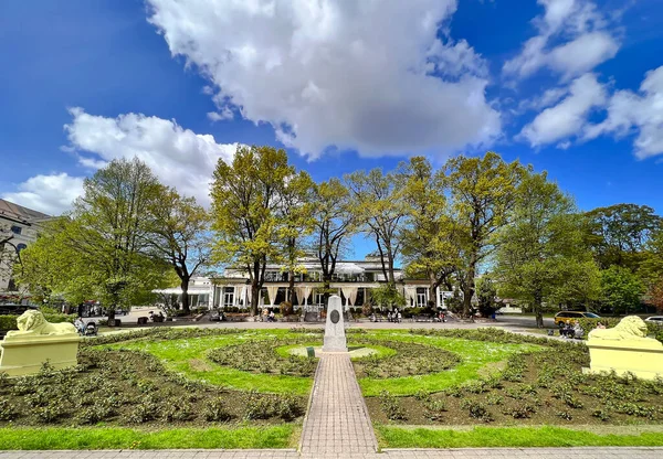 Lotyšsko Riga Květen 2022 Krásné Zelené Záhony Mladými Růžemi Lavicemi — Stock fotografie