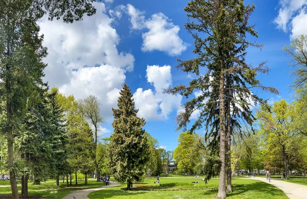 Latvia Riga May 2022 Lawns Vacationers Tall Trees Vermanes City — Stock Photo, Image