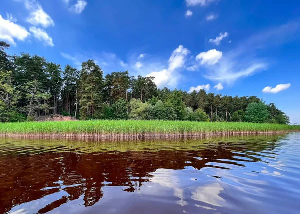 Prachtig Kisezers Meer Met Zoetwater Riet Kustlijn Wolken Die Reflecteren — Stockfoto