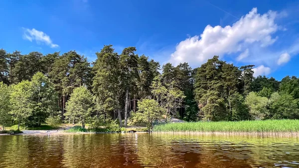 Hermoso Lago Kisezers Con Agua Dulce Cañas Costa Nubes Que —  Fotos de Stock