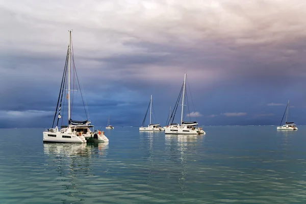 Polinésia Francesa Papete Dezembro 2017 Cinco Catamarãs Ancorados Largo Ilha — Fotografia de Stock