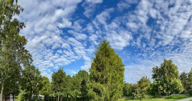 Riga, Letonya 'da bir park alanı üzerinde ilginç sirrus bulutları olan gökyüzü panoraması. Temiz çevre kavramı.