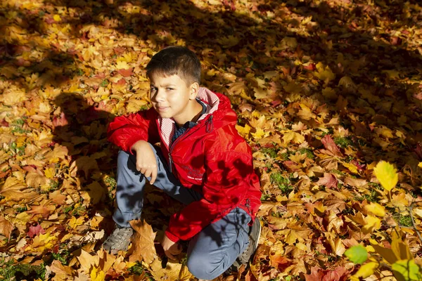 Young Boy Bright Red Jacket Blue Jeans Autumn Forest Bright Immagine Stock