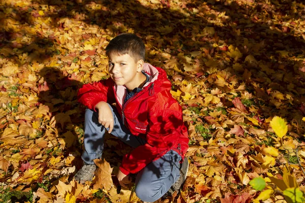 Young Boy Bright Red Jacket Blue Jeans Autumn Forest Bright ストック画像