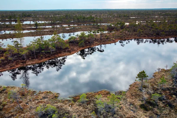 Nationaal Park Kemeri Letland Noord Europa Vreedzaam Karakter Van Kemeri — Stockfoto