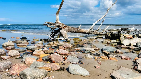 科尔卡角的野生海岸 拥有波罗的海的岩石海岸 科尔卡角 拉脱维亚波罗的海和里加湾的会合点 — 图库照片