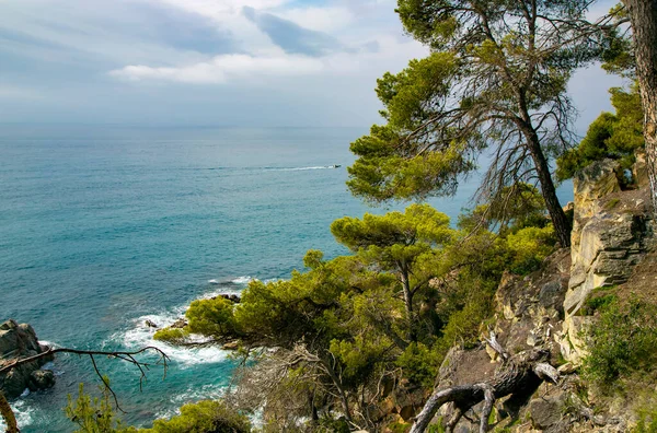 Mar Mediterrâneo Com Costa Rochosa Lloret Mar Localizado Popular Costa — Fotografia de Stock