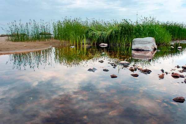 Flooded Stone Meadows Surrounded Sedges Clouds Reflected Water Kaltene Latvia — 图库照片