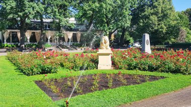 Early watering of flower beds with red roses in Vermanes city garden, Riga, Latvia. Greening concept for city parks. Vermanes Garden was originally created as Wohrmann Park in 1814
