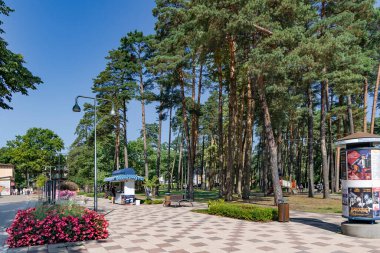 LATVIA, JURMALA, AUGUST, 2022: Flower bed and ice cream kiosk next to a pine forest in the resort town of Bulduri, Jurmala. Latvia. The concept of beautiful urban gardening.
