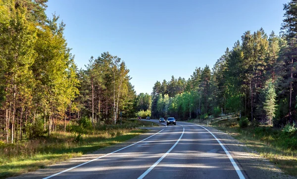 Strada Asfaltata Con Indicazioni Stradali Attraverso Una Foresta Conifere Lettonia — Foto Stock