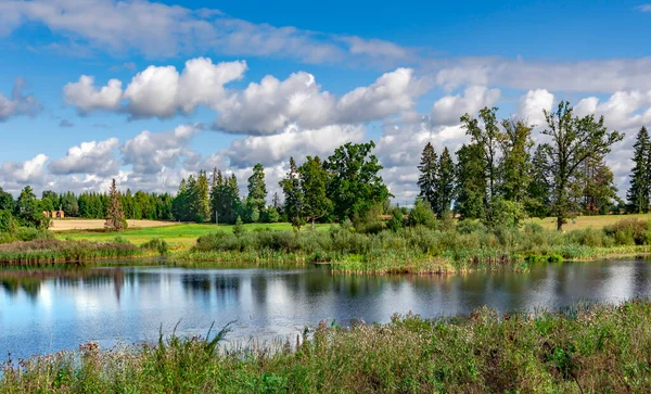 Limpar Lago Floresta Com Água Azul Clara Perto Castelo Sangaste — Fotografia de Stock