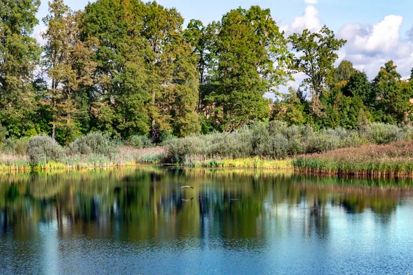 Klar Skogssjö Med Kran Som Svävar Över Vattnet Nära Sangaste — Stockfoto