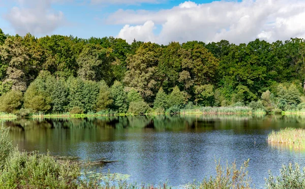 爱沙尼亚南部瓦尔加县Sangaste城堡附近清澈的森林湖 蓝水清澈 水面上的光波 — 图库照片
