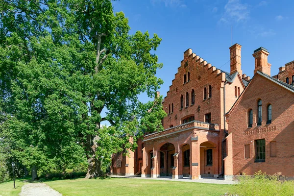 Große Uralte Eiche Park Der Nähe Des Schlosses Sangaste Der — Stockfoto