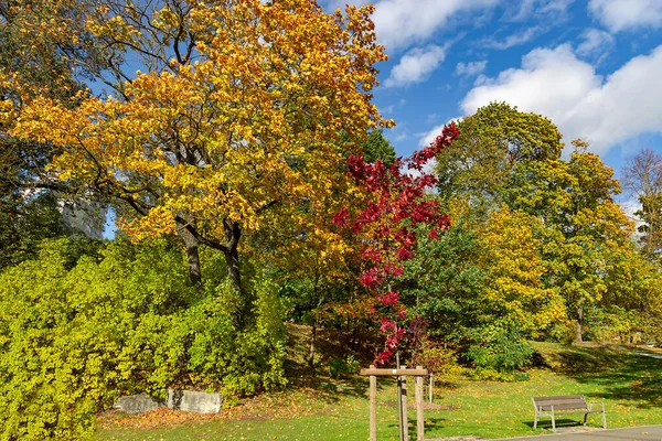 Piękne Jesienne Parki Jesiennymi Liśćmi Miejską Infrastrukturą Rydze Łotwa Jesienny — Zdjęcie stockowe