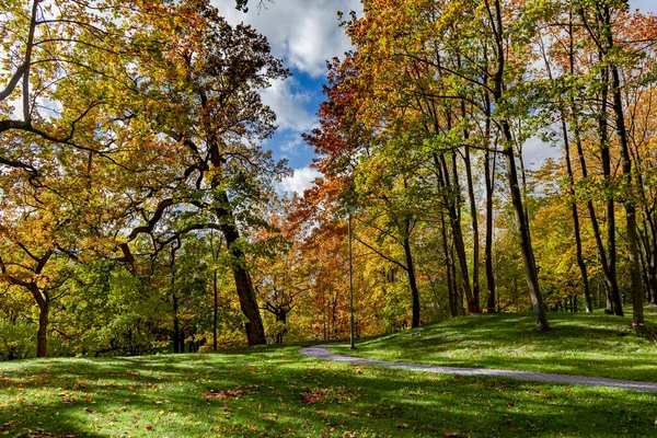 Belos Parques Outono Com Folhagem Cor Outono Brilhante Dia Outono — Fotografia de Stock