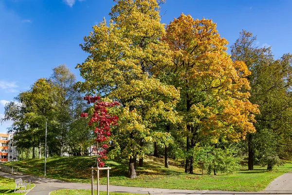 Riga Sonbahar Yeşillikleri Şehir Altyapısı Olan Güzel Sonbahar Parkları Letonya — Stok fotoğraf