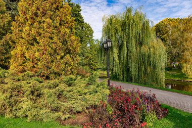 Sonbaharın başlarında, eski şehirdeki Riga Kanalı 'nın kıyısında huş ağaçları ve söğütlerle dolu güzel bir parkta. - Letonya. Temiz çevre ülke kavramı.