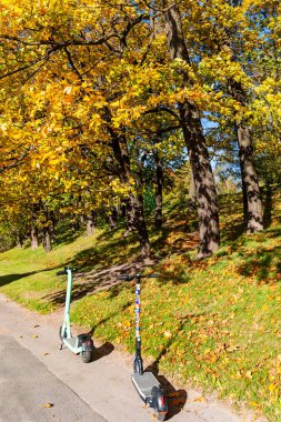 Elektrikli scooterlar. Riga 'da sıcak bir Ekim gününde sonbahar parkında yürümek için en iyi ekolojik nakliye aracı. Letonya