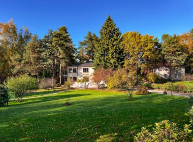 Mezaparks, Riga, Letonya 'daki sarı kulübenin üzerinde uzun çam ağaçları ve sonbahar yaprakları olan güzel bir sonbahar parkı. Sonbahar manzarası, sonbahar kartpostalı. Doğadaki doğal güzellik..