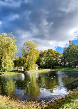 Göletin kıyısında Riga, Letonya 'da yağmur bulutları bulunan uzun söğütler. Sonbahar manzarası, sonbahar kartpostalı. Doğadaki doğal güzellik..