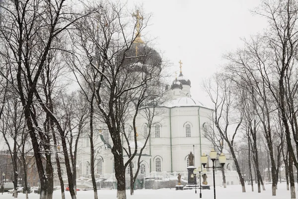 La catedral Blagoveshchensk, Voronezh, invierno Imágenes De Stock Sin Royalties Gratis