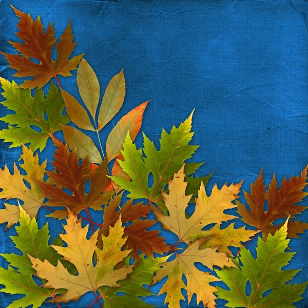 スクラップの葉とグランジのペーパー デザインと秋の背景 — ストック写真
