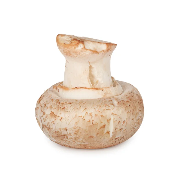 Fungo fresco champignon isolato su sfondo bianco — Foto Stock