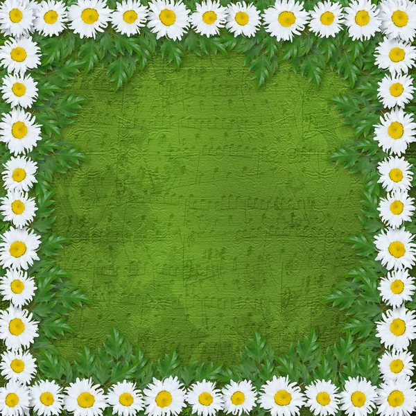 Abstract musical background with garland of snow-white daisies — Stock Photo, Image