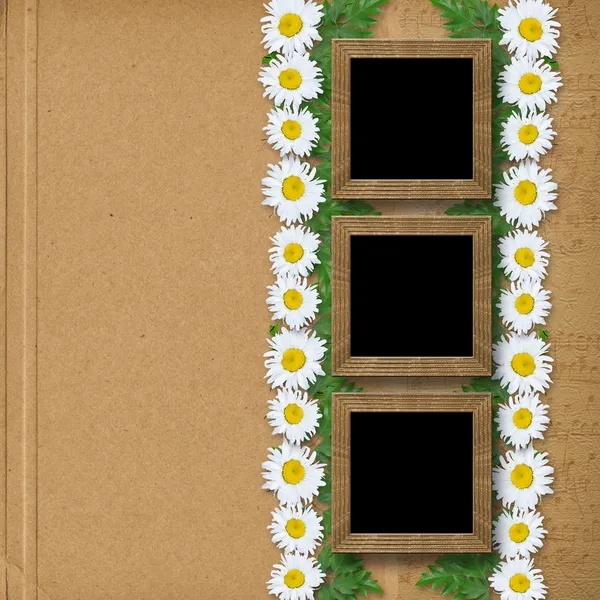 抽象的纸张背景与雪白的雏菊花环 — 图库照片