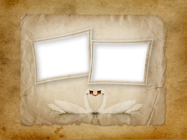 Greeting Card to wedding with swans on the old paper background Stock Picture