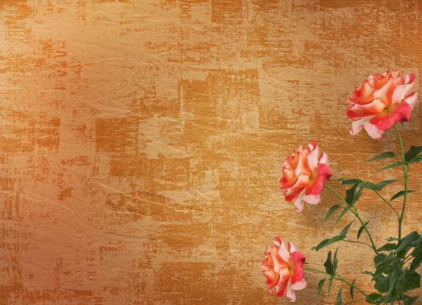 Grunge-Hintergrund zum Gratulieren mit schöner Rose — Stockfoto