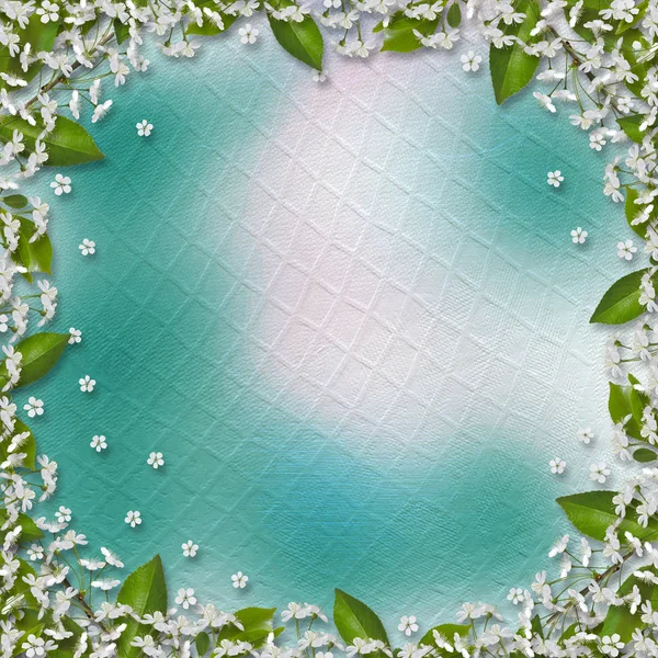 Пастель абстрактный фон с красивой связкой Сакура — стоковое фото