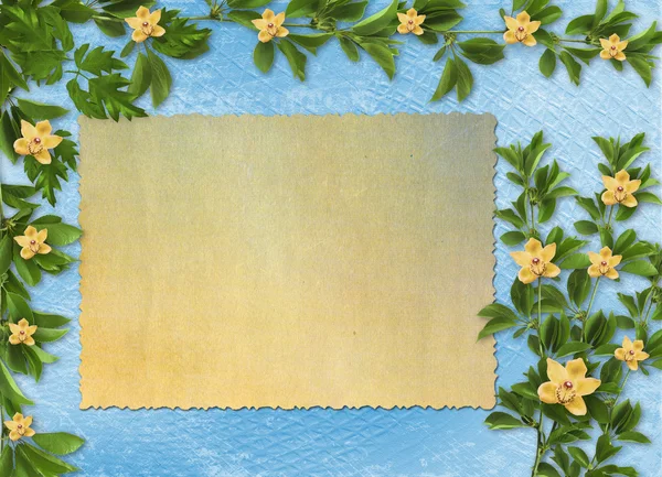 カード招待状やお祝いの蘭の花と木の枝 — ストック写真