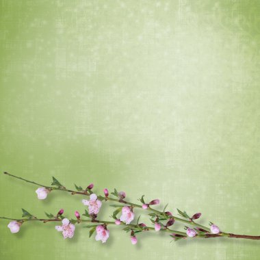 Beautiful abstract background with branch of Sakura clipart