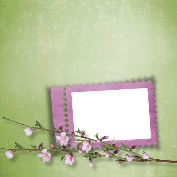 Prachtige abstracte achtergrond met frame en tak van sakura — Stockfoto