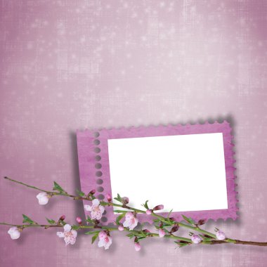 güzel arka plan çerçevesi ve sakura Şubesi