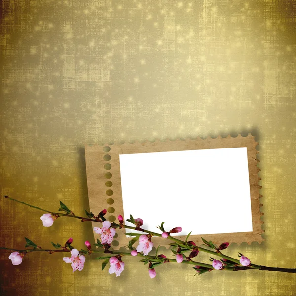 Fundo abstrato bonito com moldura e ramo de Sakura — Fotografia de Stock