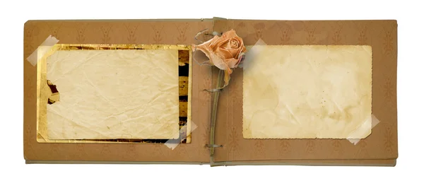 Old photo album with beautiful dried rose isolated on a white ba — Stock Photo, Image