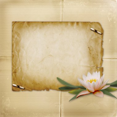 Nilüfer'den demet davet için vintage kartpostal