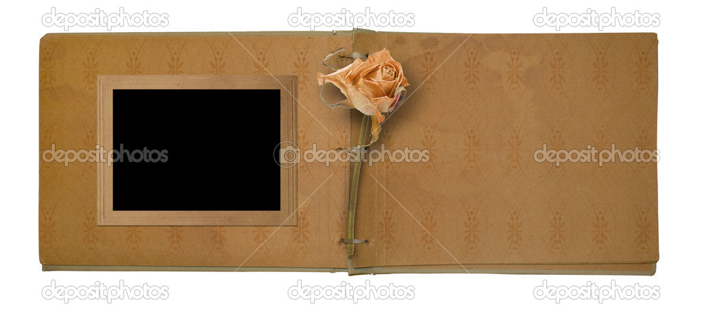 Old photo album with beautiful dried rose isolated on a white ba